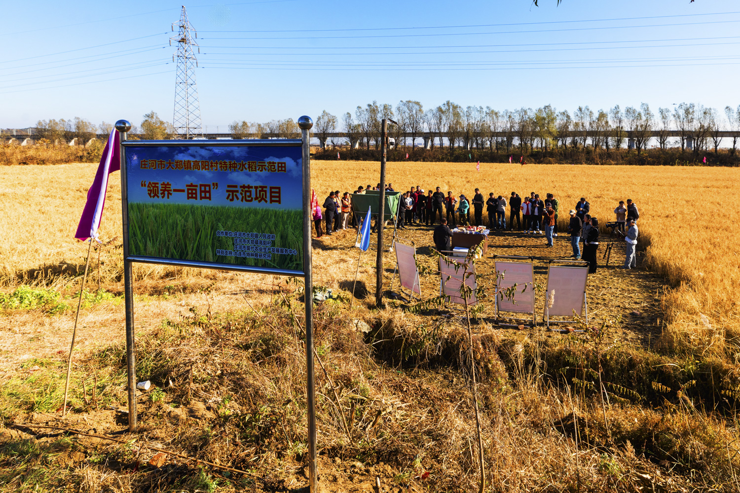 高阳村委会工作场景一
