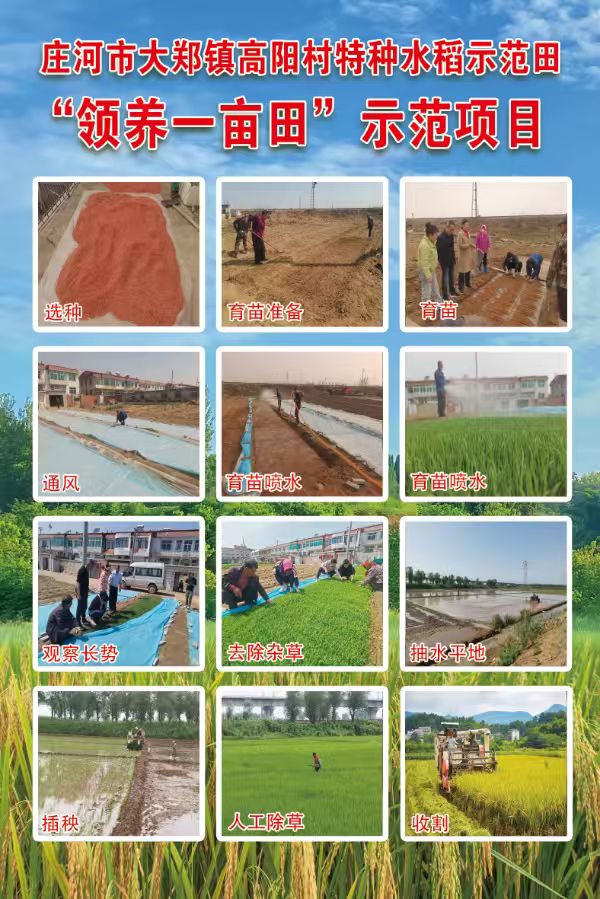 高阳村委会工作场景二