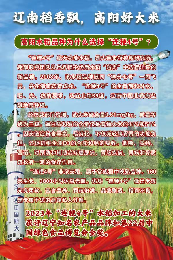 高阳村委会工作场景三