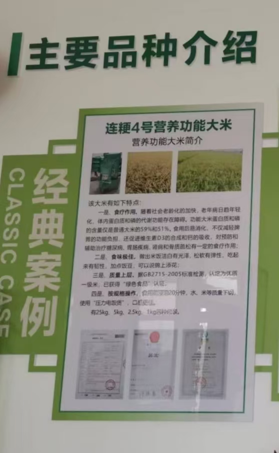 高阳村委会工作场景四